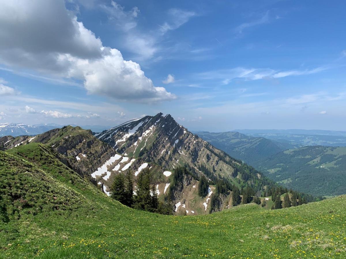 Staufen Herz Oberstaufen Zewnętrze zdjęcie